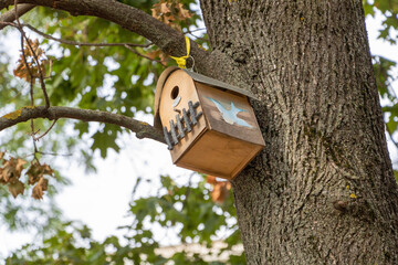 A birdhouse hanging from the branch of an oak tree