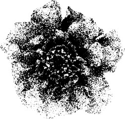 Black and white grunge flower illustration with a distressed, vintage look, perfect for retro designs and minimalist graphic projects. Vector illustration