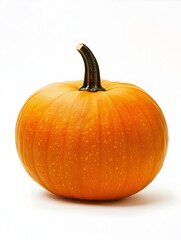 Autumnal Squash on Pristine White Backdrop Radiating Golden Hues
