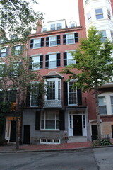 Fototapeta premium houses in the city