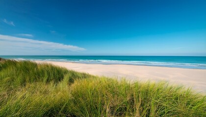 picturesque beach with clear blue sky and lush green grass under the horizon