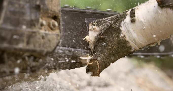 Woodcutter saws tree with electric chain saw on sawmill. Chainsaw used in activities such as free falling, pruning, cutting fire breaks, and harvesting of firewood. Shot on super slow motion 1000 fps