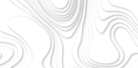 Fototapeta premium White 3d papercut vector format 3d shadow abstract wallpaper fresh tiles design curved topology or topography 3d map texture backdrop illustration paper template