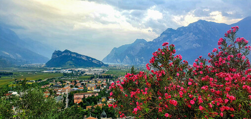 View to mountains near Lake Garda through red flowers, September 15, 2021.