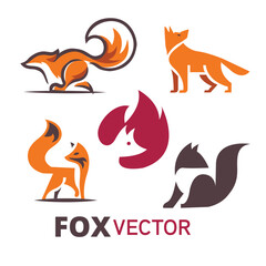 Cute cartoon fox isolated on white background. Side view. Vector illustration