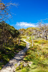 Fototapeta premium Porcupine Rocks Walk in Australia