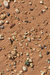 The coastline of the Red Sea. Sand, pebbles, corals, fossils. Background with a marine theme.