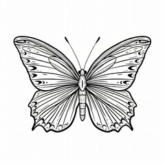 butterfly children coloring book page isolated