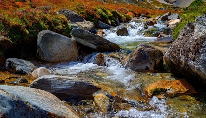 A gentle brook babbles over smooth pebbles, its clear waters reflecting dappled sunlight through...