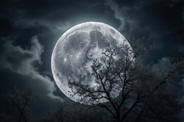 Full moon night with silhouetted trees