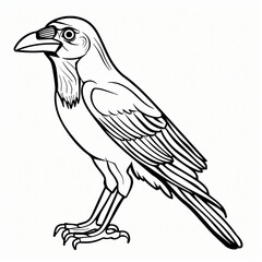 Fototapeta premium Crow children coloring book page isolated