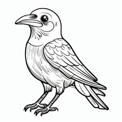 Obraz premium Crow children coloring book page isolated