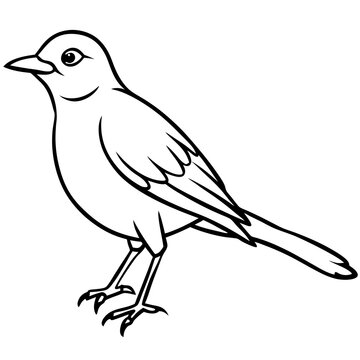recommend clip art: bird brush stroke line art vector white background