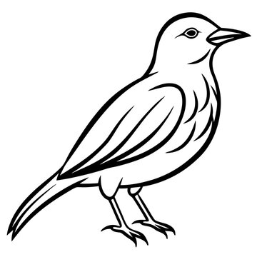 recommend clip art: bird brush stroke line art vector white background