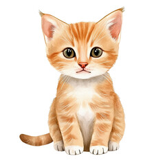 A cute baby cat watercolor clipart, perfect for nursery, isolated on white background
