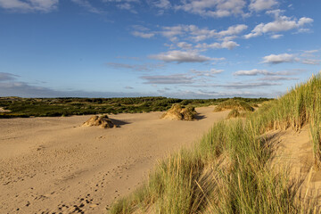 Looking out over sand dunes on the Merseyside coast, on a sunny summer's evening