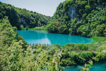 Scenic view of water reflections of lake in colorful summer in Plitvice Jezera National Park, Karlovac, Croatia, Europe. Idyllic forest in serene beauty of landscape. Tranquil scene in nature, travel