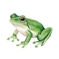 Obraz premium frog watercolor clipart, perfect for nursery, isolated on white background