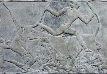 Relief of the Mastaba of Mere Ruka showing Capture of a wild bull. Saqqara. Egypt.