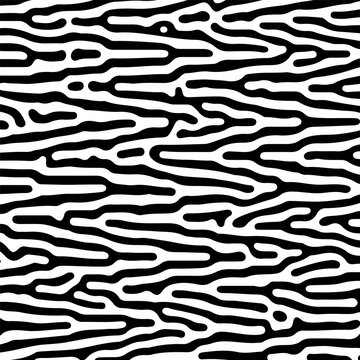 Abstract zebra style black and white wavy lines seamless pattern vector design