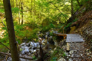 Wooden walkway next to Bistrica stream near Preddvor in Slovenia