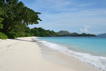 beach with trees