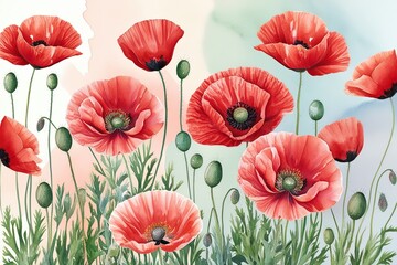 Obraz premium Vibrant Red Poppy Flowers Blooming on Soft Pastel Watercolor Background