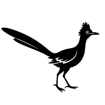 recommend clip art: silhouette of a roadrunner bird vector black animal 