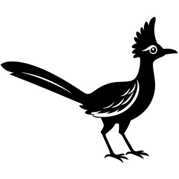 recommend clip art: roadrunner silhouette vector bird black