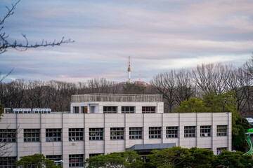 Namsan Tower, a landmark in Seoul, South Korea, with the surrounding cityscape in the background.