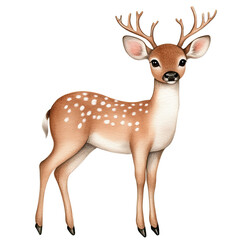Obraz premium deer watercolor clipart, perfect for nursery, isolated on white background