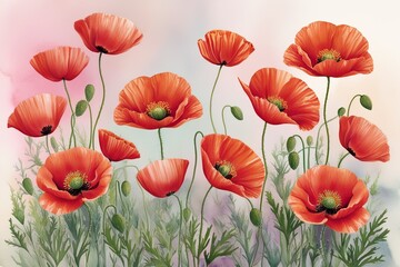 Obraz premium Watercolor Dreamy Cardinal Poppy Flowers Set Against Soft Pastel Background