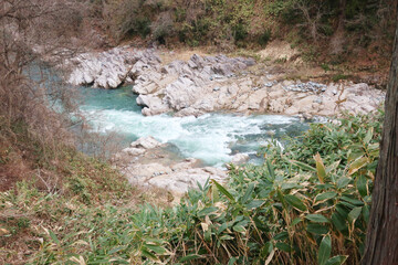 激流の川