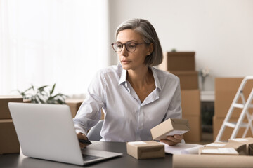 Woman focused on her laptop while hold small package in modern office setting filled with cardboard boxes, engaged in logistical, shipping task, overseeing inventory, packaging, dispatch operations © fizkes