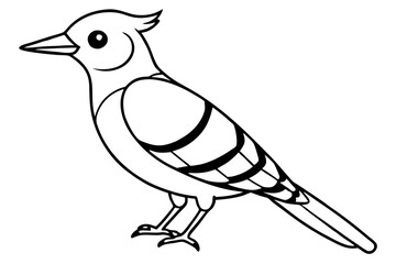 Fulvous breasted woodpecker  line art
