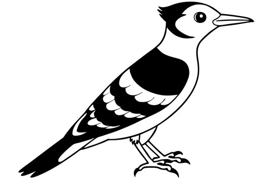 recommend clip art: Fulvous breasted woodpecker silhouette vector illustration 
                    