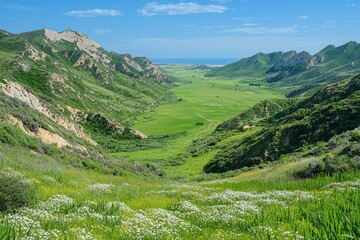 Fototapeta premium Mountain Valley Landscape with Coastal View and White Wildflowers