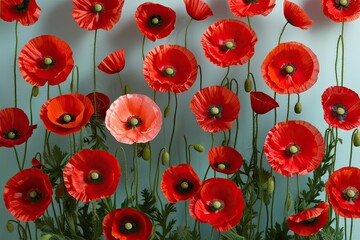 Fototapeta premium Vibrant Red Poppy Flowers in Soft Pastel Colors A Dreamy Floral Tribute