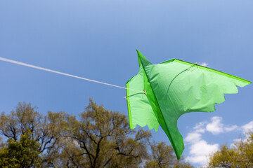 COMETA VERDE CON FORMA DE AVE VOLANDO EN EL CIELO AZUL CERCA DE ÁRBOLES OTOÑALES EN DÍA SOLEADO