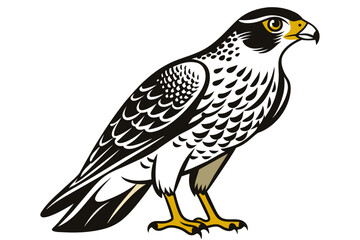 Line art cooper hawk animal silhouette vector art illustration