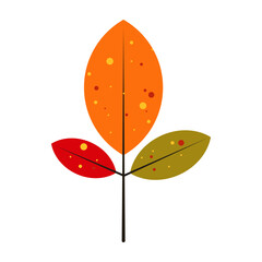 Illustration of autumn decorations and frames. Colorful Autumn Leaves Illustrations with Vibrant Patterns and Natural Designs