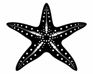 Star Fish silhouette vector illustration