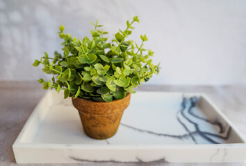Pot with artificial green plant in marble tray for decoration.  Scandinavian interior style