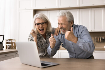 Happy senior spouses looking at laptop screen, read bank notification, celebrate loan approval, feel overjoyed, received tax refund, good investment offer, get prize in web lottery, unexpected win