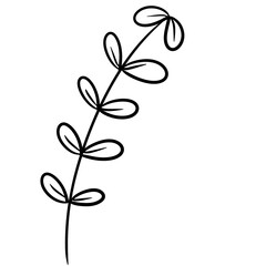 Black striped leaf stalks