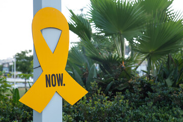 “Bring them home now” Installation of yellow ribbons in park, tied between trees as a symbol...