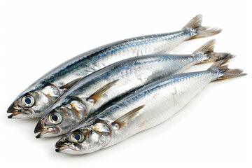 Fototapeta premium a group of fish sitting on top of a white surface