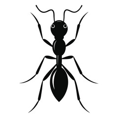 black ant silhouette style with white background