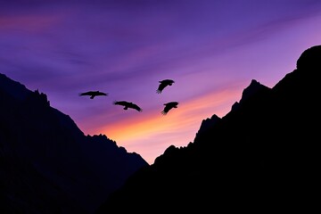 Obraz premium Silhouette of condors in the Andes skies --ar 3:2 --v 6.1 Job ID: 39bdb701-cafe-46a3-809b-59c0d3014eb9