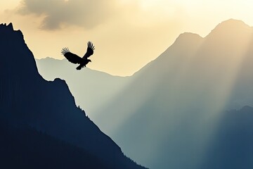 Silhouette of eagles in the Rocky Mountains